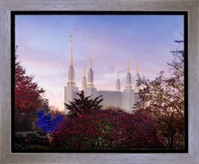 Load image into Gallery viewer, Washington DC Christmas Morning
