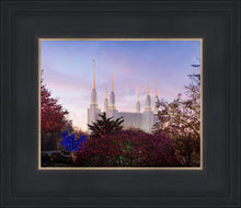 Load image into Gallery viewer, Washington DC Christmas Morning
