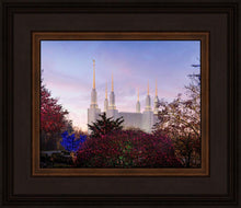 Load image into Gallery viewer, Washington DC Christmas Morning
