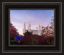 Load image into Gallery viewer, Washington DC Christmas Morning
