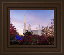 Load image into Gallery viewer, Washington DC Christmas Morning
