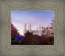 Load image into Gallery viewer, Washington DC Christmas Morning
