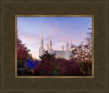 Load image into Gallery viewer, Washington DC Christmas Morning
