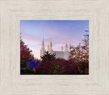 Load image into Gallery viewer, Washington DC Christmas Morning
