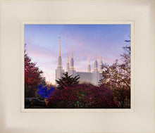 Load image into Gallery viewer, Washington DC Christmas Morning
