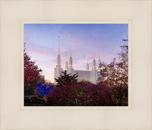 Load image into Gallery viewer, Washington DC Christmas Morning
