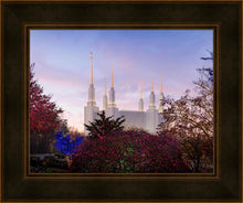 Load image into Gallery viewer, Washington DC Christmas Morning
