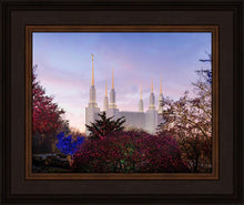 Load image into Gallery viewer, Washington DC Christmas Morning
