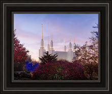 Load image into Gallery viewer, Washington DC Christmas Morning
