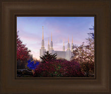 Load image into Gallery viewer, Washington DC Christmas Morning
