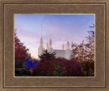 Load image into Gallery viewer, Washington DC Christmas Morning
