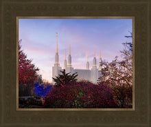 Load image into Gallery viewer, Washington DC Christmas Morning
