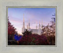 Load image into Gallery viewer, Washington DC Christmas Morning
