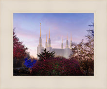 Load image into Gallery viewer, Washington DC Christmas Morning
