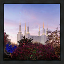 Load image into Gallery viewer, Washington DC Christmas Morning
