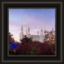Load image into Gallery viewer, Washington DC Christmas Morning
