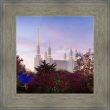 Load image into Gallery viewer, Washington DC Christmas Morning
