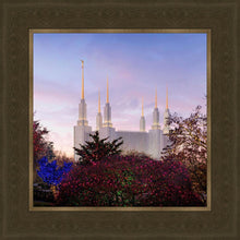 Load image into Gallery viewer, Washington DC Christmas Morning
