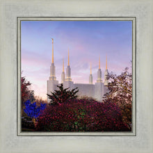 Load image into Gallery viewer, Washington DC Christmas Morning
