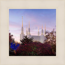 Load image into Gallery viewer, Washington DC Christmas Morning
