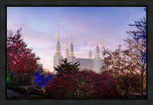 Load image into Gallery viewer, Washington DC Christmas Morning
