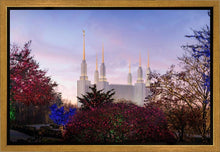 Load image into Gallery viewer, Washington DC Christmas Morning
