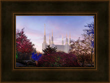Load image into Gallery viewer, Washington DC Christmas Morning
