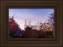Load image into Gallery viewer, Washington DC Christmas Morning
