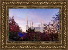 Load image into Gallery viewer, Washington DC Christmas Morning
