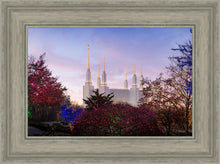 Load image into Gallery viewer, Washington DC Christmas Morning
