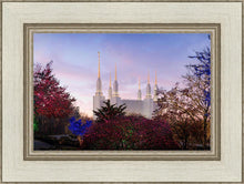 Load image into Gallery viewer, Washington DC Christmas Morning
