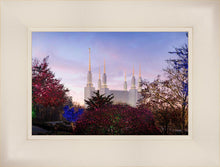 Load image into Gallery viewer, Washington DC Christmas Morning
