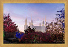 Load image into Gallery viewer, Washington DC Christmas Morning
