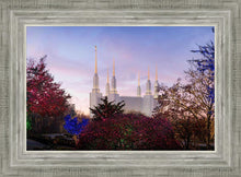 Load image into Gallery viewer, Washington DC Christmas Morning
