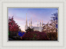 Load image into Gallery viewer, Washington DC Christmas Morning
