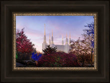 Load image into Gallery viewer, Washington DC Christmas Morning
