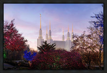 Load image into Gallery viewer, Washington DC Christmas Morning
