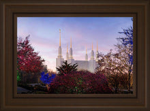 Load image into Gallery viewer, Washington DC Christmas Morning
