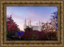 Load image into Gallery viewer, Washington DC Christmas Morning
