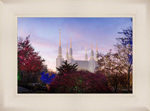 Load image into Gallery viewer, Washington DC Christmas Morning

