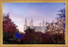 Load image into Gallery viewer, Washington DC Christmas Morning
