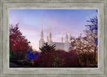 Load image into Gallery viewer, Washington DC Christmas Morning
