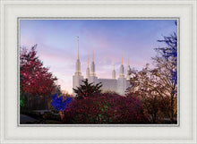 Load image into Gallery viewer, Washington DC Christmas Morning
