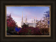 Load image into Gallery viewer, Washington DC Christmas Morning
