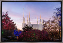 Load image into Gallery viewer, Washington DC Christmas Morning

