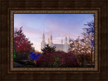 Load image into Gallery viewer, Washington DC Christmas Morning
