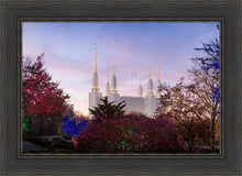 Load image into Gallery viewer, Washington DC Christmas Morning
