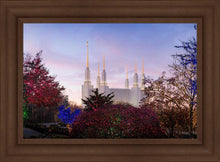 Load image into Gallery viewer, Washington DC Christmas Morning
