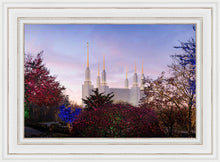 Load image into Gallery viewer, Washington DC Christmas Morning
