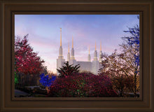 Load image into Gallery viewer, Washington DC Christmas Morning
